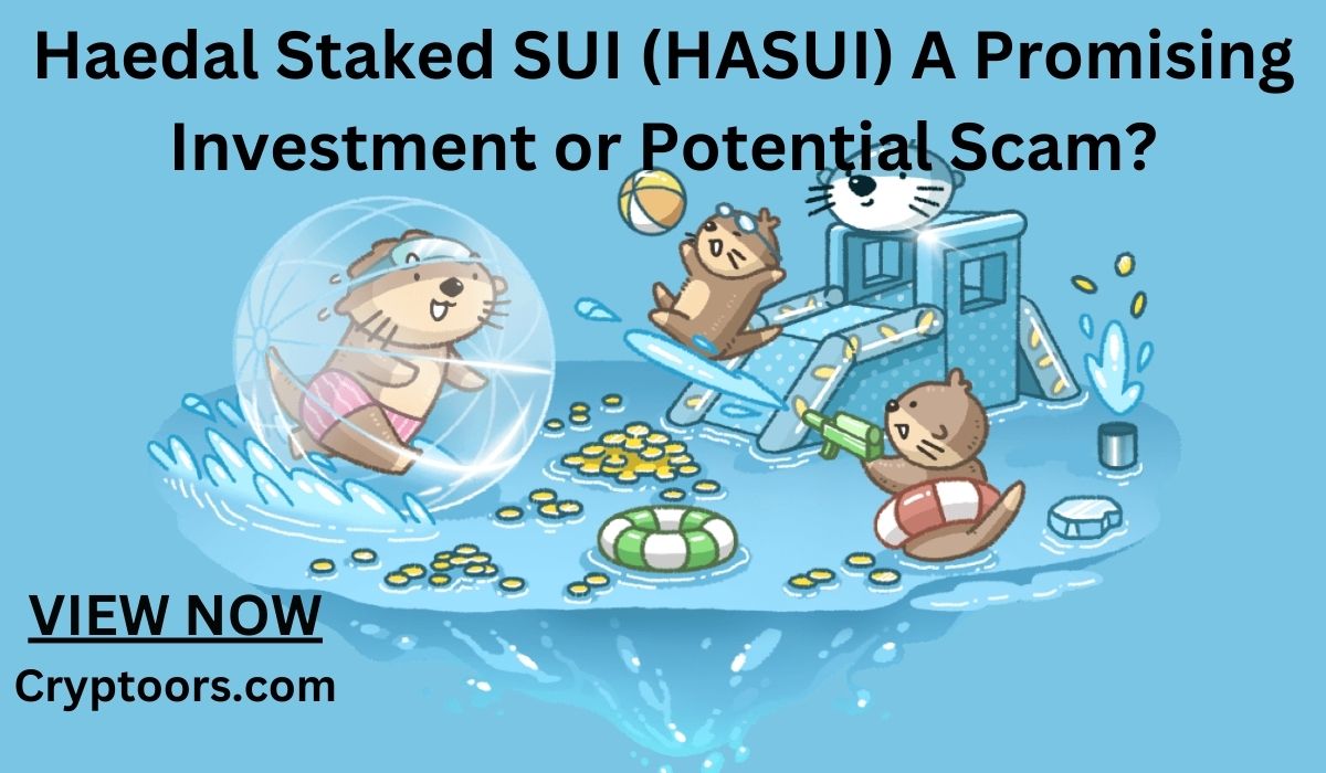 Haedal Staked SUI (HASUI) A Promising Investment or Potential Scam?